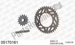 Here you can order the chain kit chain kit from Afam, with part number 39005170161: