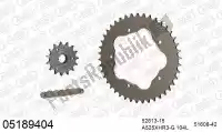 39005189404, Afam, Kit de cadena kit de cadena, aluminio    , Nuevo