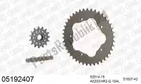 39005192407, Afam, Kit de cadena kit de cadena, aluminio    , Nuevo