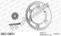 Here you can order the chain kit chain kit, steel from Afam, with part number 39006213801: