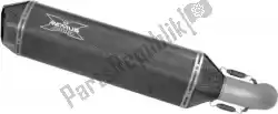 Here you can order the exh set hexacone carbon eec from Remus, with part number 054482089911LR: