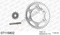 39007115802, Afam, Kit de cadena kit de cadena, acero    , Nuevo