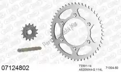 Here you can order the chain kit chain kit, steel from Afam, with part number 39007124802: