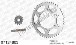 Here you can order the chain kit chain kit, steel from Afam, with part number 39007124803: