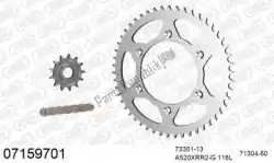Here you can order the chain kit chain kit, steel from Afam, with part number 39007159701: