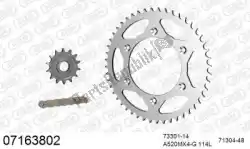 Here you can order the chain kit chain kit, steel from Afam, with part number 39007163802: