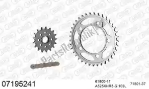 AFAM 39007195241 kit chaine kit chaine, acier - La partie au fond