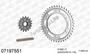 AFAM 39007197551 kit de cadena kit de cadena, acero - Lado inferior