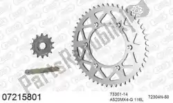 Here you can order the chain kit chain kit, aluminum from Afam, with part number 39007215801: