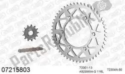 Aquí puede pedir kit de cadena kit de cadena, aluminio de Afam , con el número de pieza 39007215803: