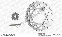 39007259701, Afam, Kit de cadena kit de cadena, aluminio    , Nuevo