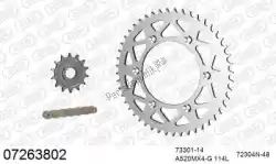 Here you can order the chain kit chain kit, aluminum from Afam, with part number 39007263802: