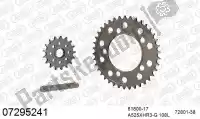 39007295241, Afam, Kit de cadena kit de cadena, aluminio    , Nuevo