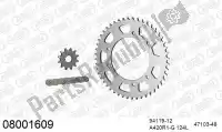 39008001609, Afam, Kit de cadena kit de cadena, acero    , Nuevo