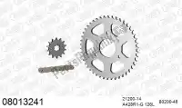 39008013241, Afam, Kit de corrente kit de corrente, aço    , Novo