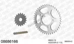 Aquí puede pedir kit de cadena kit de cadena, acero de Afam , con el número de pieza 39008686166: