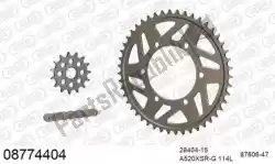 Here you can order the chain kit chain kit, aluminum from Afam, with part number 39008774404: