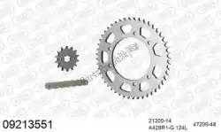 Here you can order the chain kit chain kit, steel from Afam, with part number 39009213551: