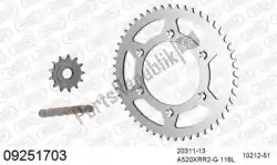 Here you can order the chain kit chain kit, steel from Afam, with part number 39009251703: