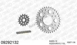 Aqui você pode pedir o kit de corrente kit de corrente, corrida de aço em Afam , com o número da peça 39009292132: