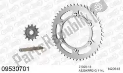 Here you can order the chain kit chain kit, steel from Afam, with part number 39009530701: