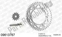 39009613767, Afam, Kit de cadena kit de cadena, aluminio    , Nuevo