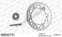 Here you can order the chain kit chain kit, aluminum from Afam, with part number 39009630701: