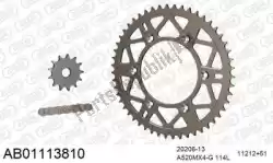 Here you can order the chain kit chain kit, alu ab from Afam, with part number 390AB01113810: