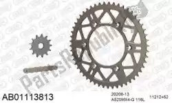 Here you can order the chain kit chain kit, alu ab from Afam, with part number 390AB01113813: