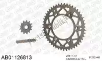 390AB01126813, Afam, Chain kit chain kit, alu ab    , New