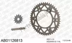 Here you can order the chain kit chain kit, alu ab from Afam, with part number 390AB01126813: