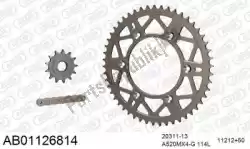 Here you can order the chain kit chain kit, alu ab from Afam, with part number 390AB01126814: