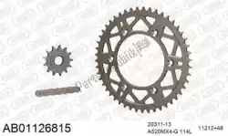 Here you can order the chain kit chain kit, alu ab from Afam, with part number 390AB01126815: