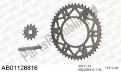 Here you can order the chain kit chain kit, alu ab from Afam, with part number 390AB01126816: