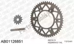 Here you can order the chain kit chain kit from Afam, with part number 390AB01126851: