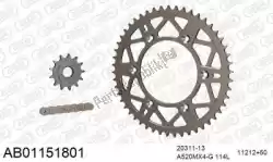 Here you can order the chain kit chain kit, alu ab from Afam, with part number 390AB01151801: