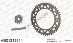 Here you can order the chain kit chain kit, alu ab from Afam, with part number 390AB01313814: