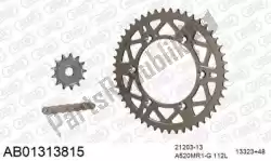 Here you can order the chain kit chain kit, alu ab from Afam, with part number 390AB01313815: