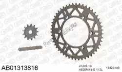 Here you can order the chain kit chain kit, alu ab from Afam, with part number 390AB01313816: