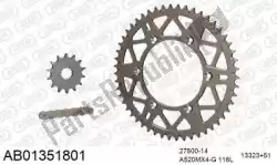 Here you can order the chain kit chain kit, alu ab from Afam, with part number 390AB01351801: