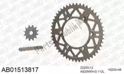 Here you can order the chain kit chain kit, alu ab from Afam, with part number 390AB01513817: