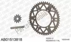 Here you can order the chain kit chain kit, alu ab from Afam, with part number 390AB01513818: