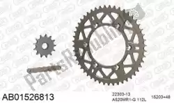 Here you can order the chain kit chain kit, alu ab from Afam, with part number 390AB01526813:
