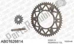 Here you can order the chain kit chain kit, alu ab from Afam, with part number 390AB01526814: