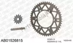 Here you can order the chain kit chain kit, alu ab from Afam, with part number 390AB01526815: