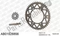 Here you can order the chain kit chain kit, alu ab from Afam, with part number 390AB01526856: