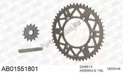 Here you can order the chain kit chain kit, alu ab from Afam, with part number 390AB01551801: