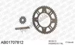 Here you can order the chain kit chain kit, alu ab from Afam, with part number 390AB01707812: