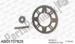 Here you can order the chain kit chain kit, alu ab from Afam, with part number 390AB01707825: