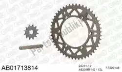 Here you can order the chain kit chain kit, alu ab from Afam, with part number 390AB01713814:
